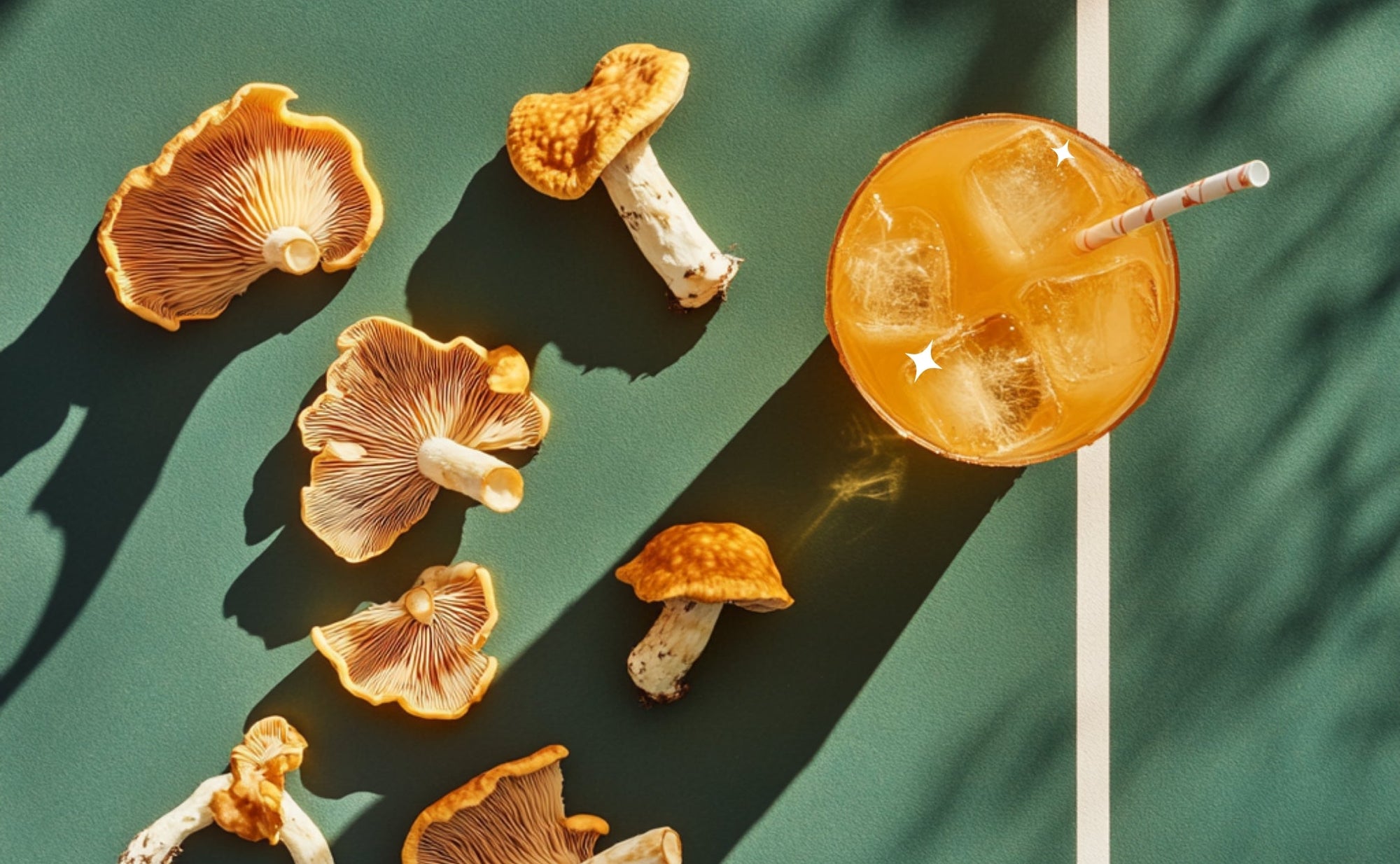 Lion’s Mane for Athletes: The Secret Weapon for Peak Performance