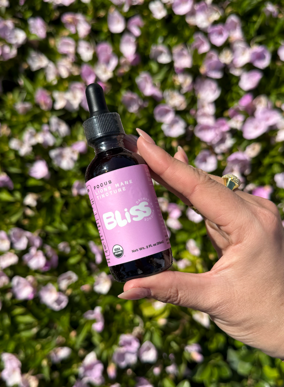Bliss Labs Lions Mane Mushroom Tincture 